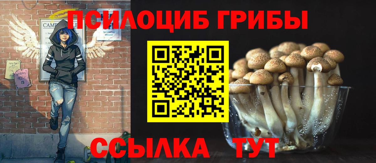 Галлюциногенные грибы Psilocybine cubensis  Галлюциногенные грибы Magic Shrooms  Вход с VPN  закладки  Мирный 